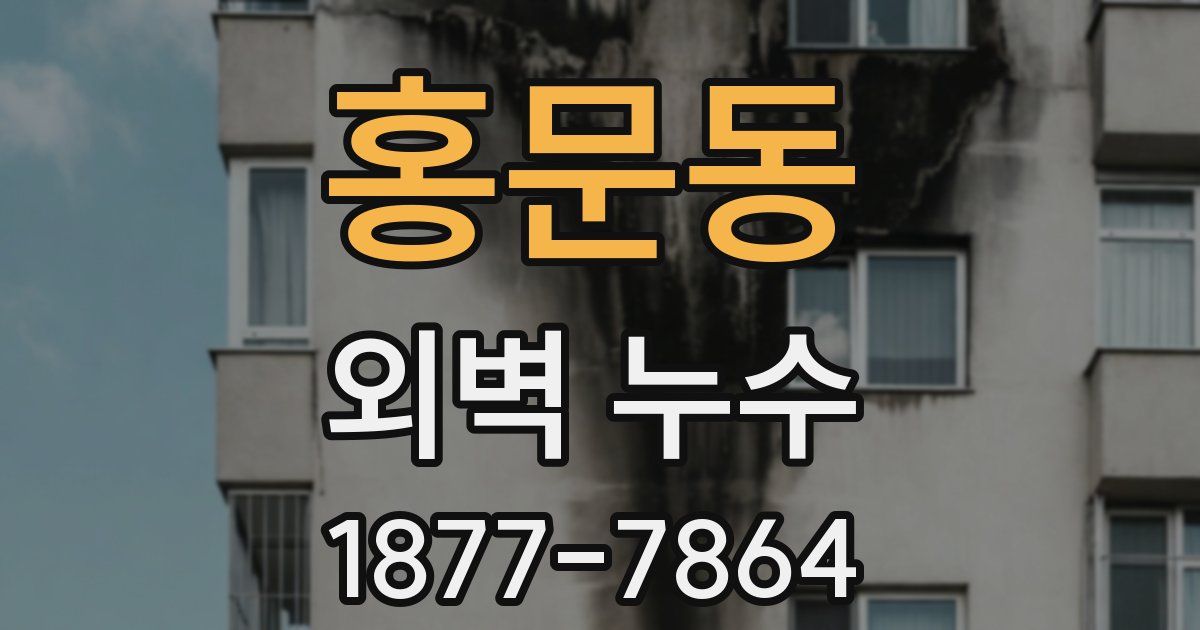 홍문동 외벽 누수