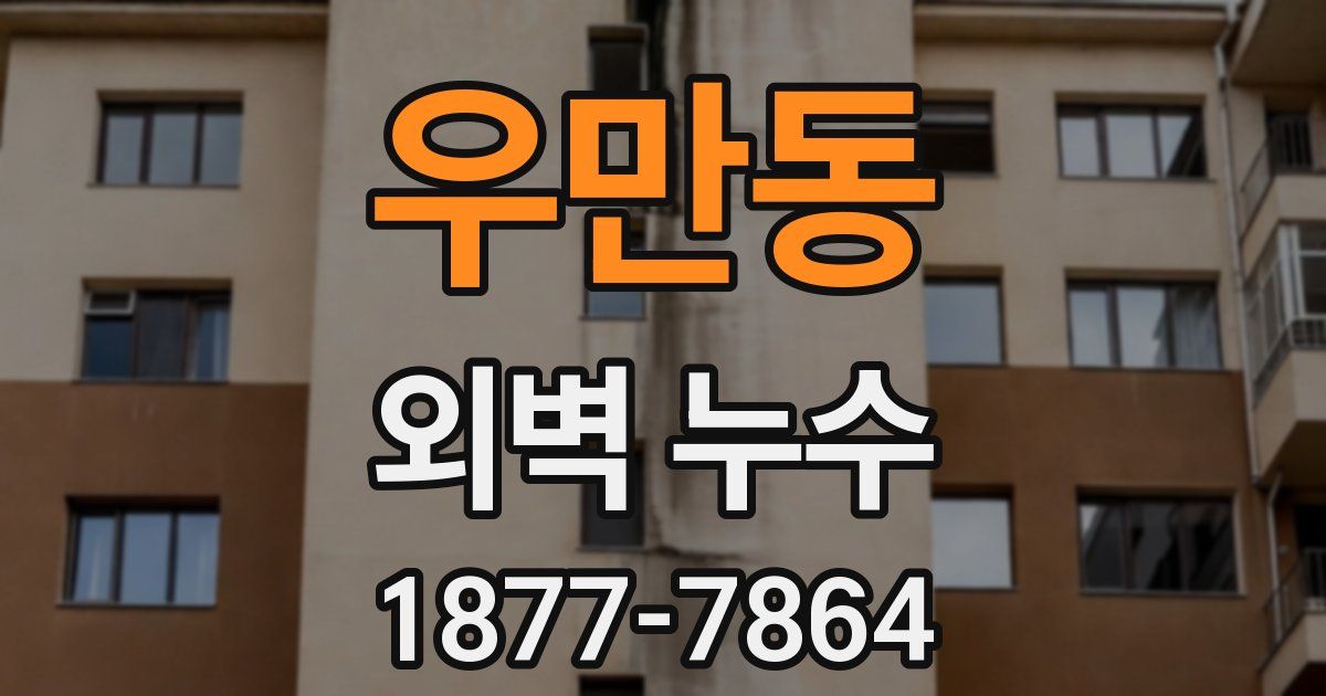 우만동 외벽 누수