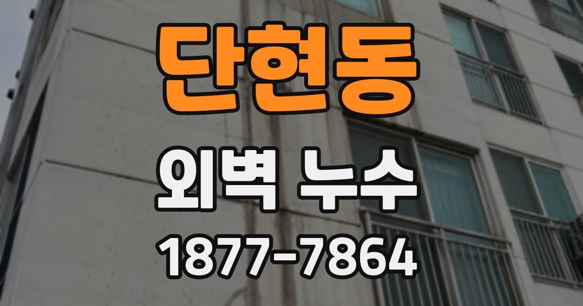 단현동 외벽 누수