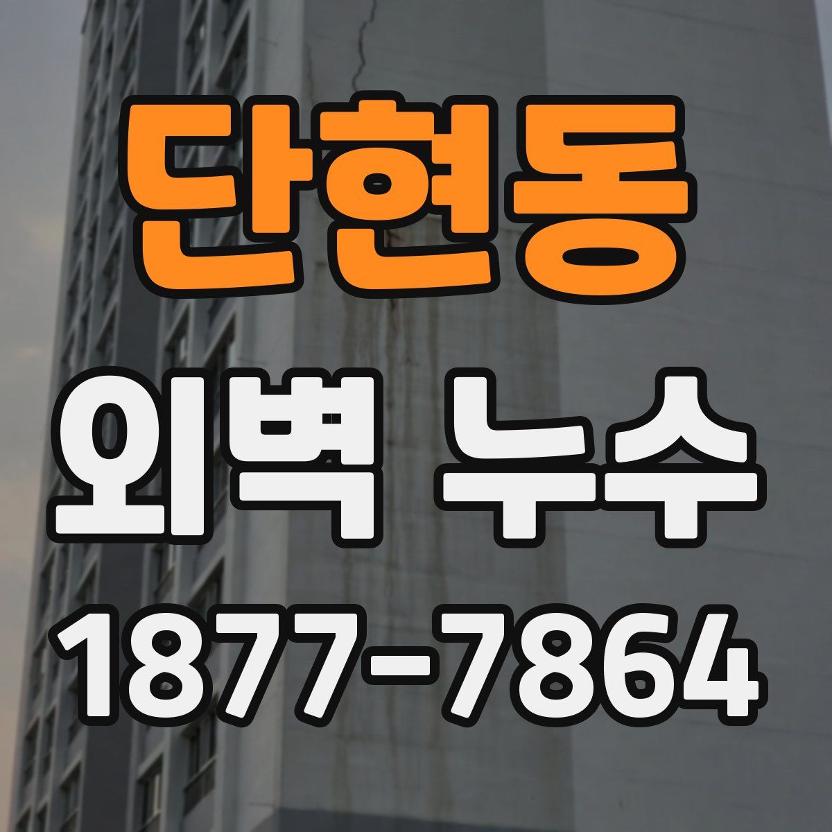 단현동 외벽 누수