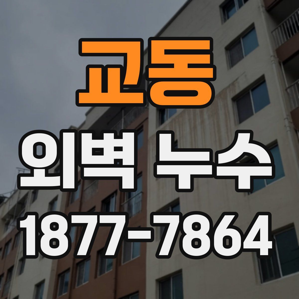 교동 외벽 누수