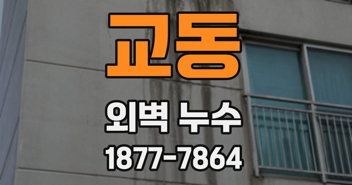 교동 외벽 누수