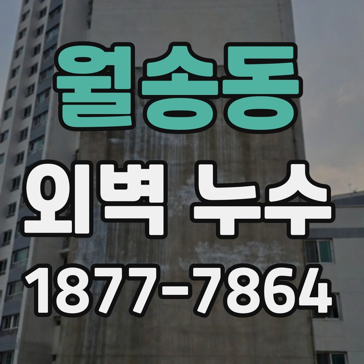 월송동 외벽 누수