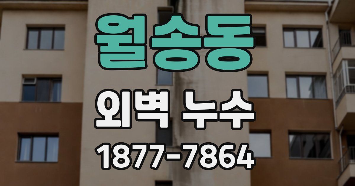 월송동 외벽 누수