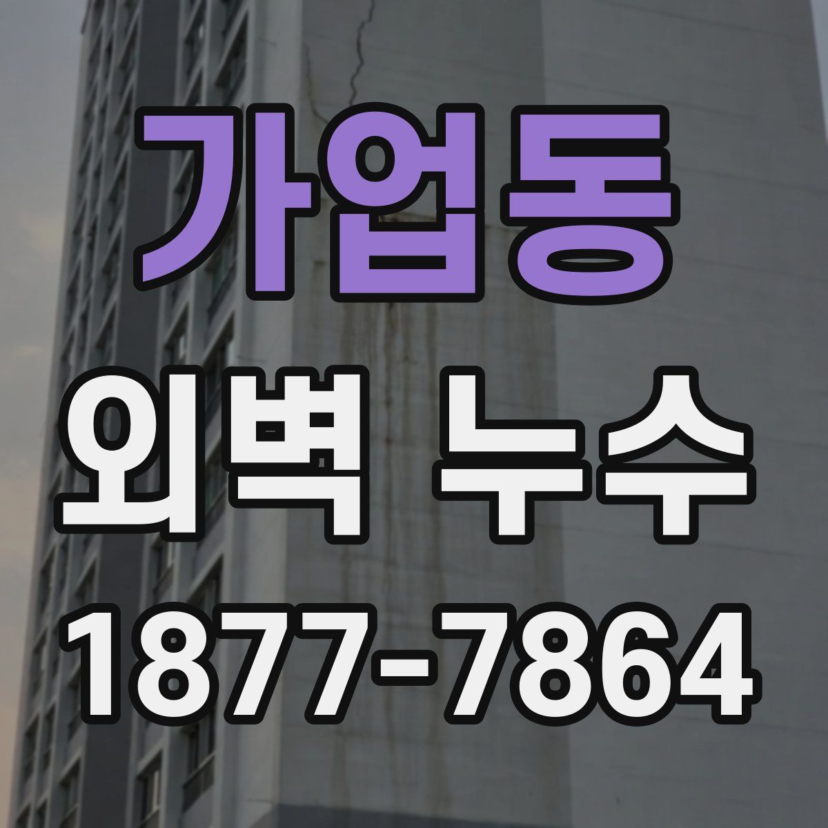가업동 외벽 누수