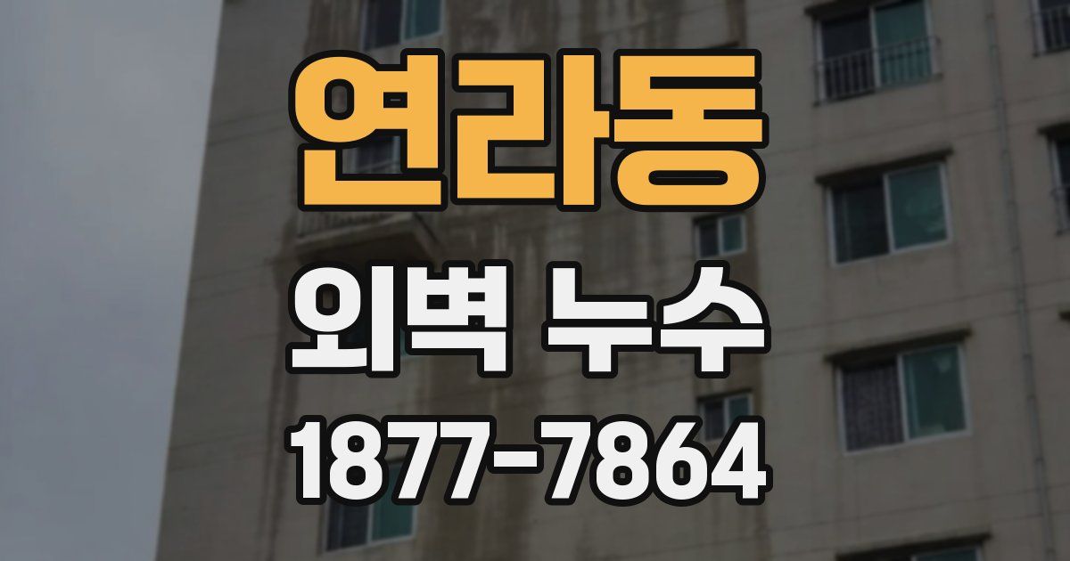 연라동 외벽 누수