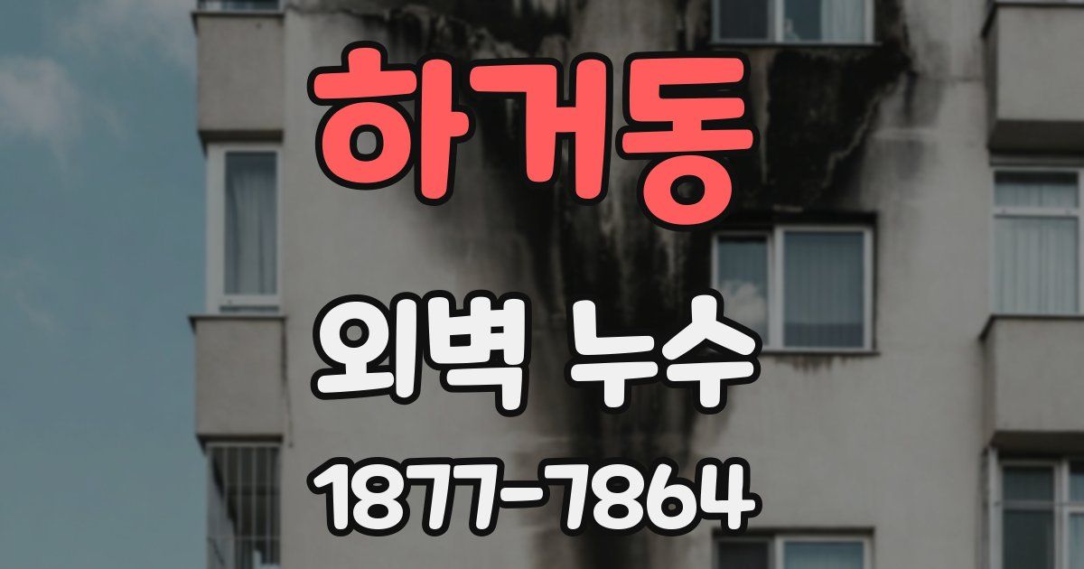 하거동 외벽 누수