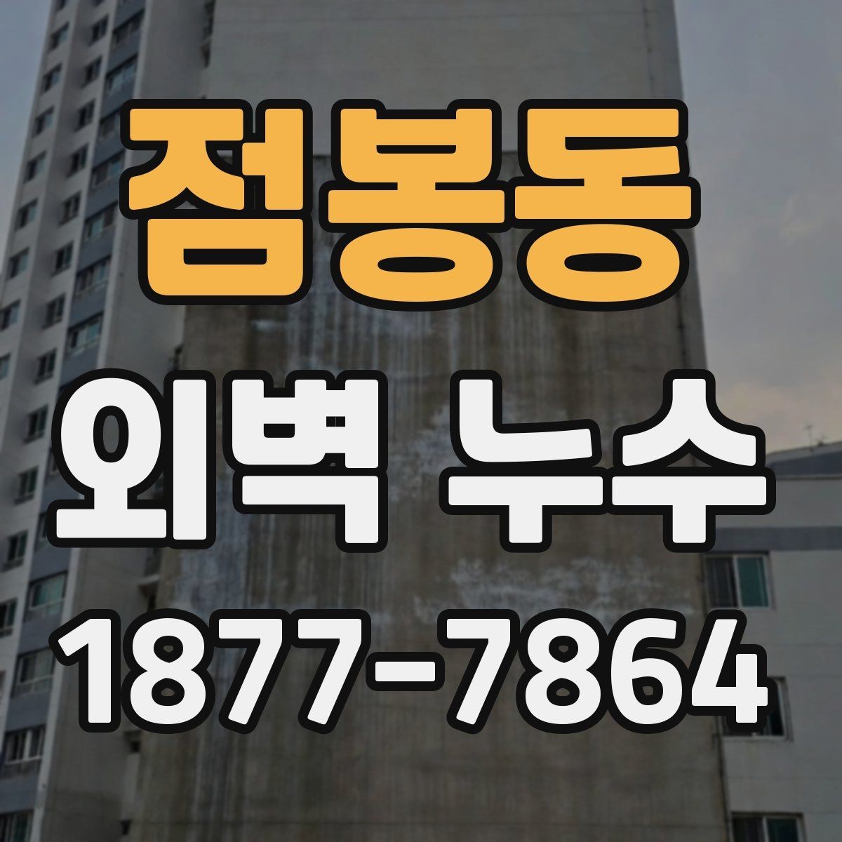 점봉동 외벽 누수 발생 시 살펴볼 구간