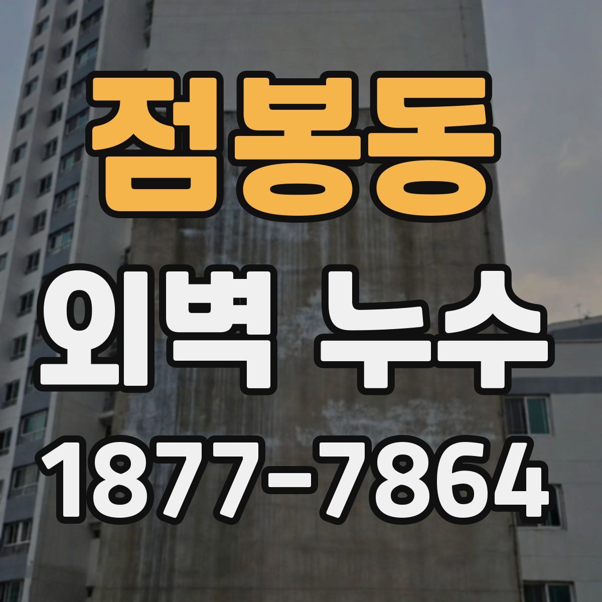 점봉동 외벽 누수