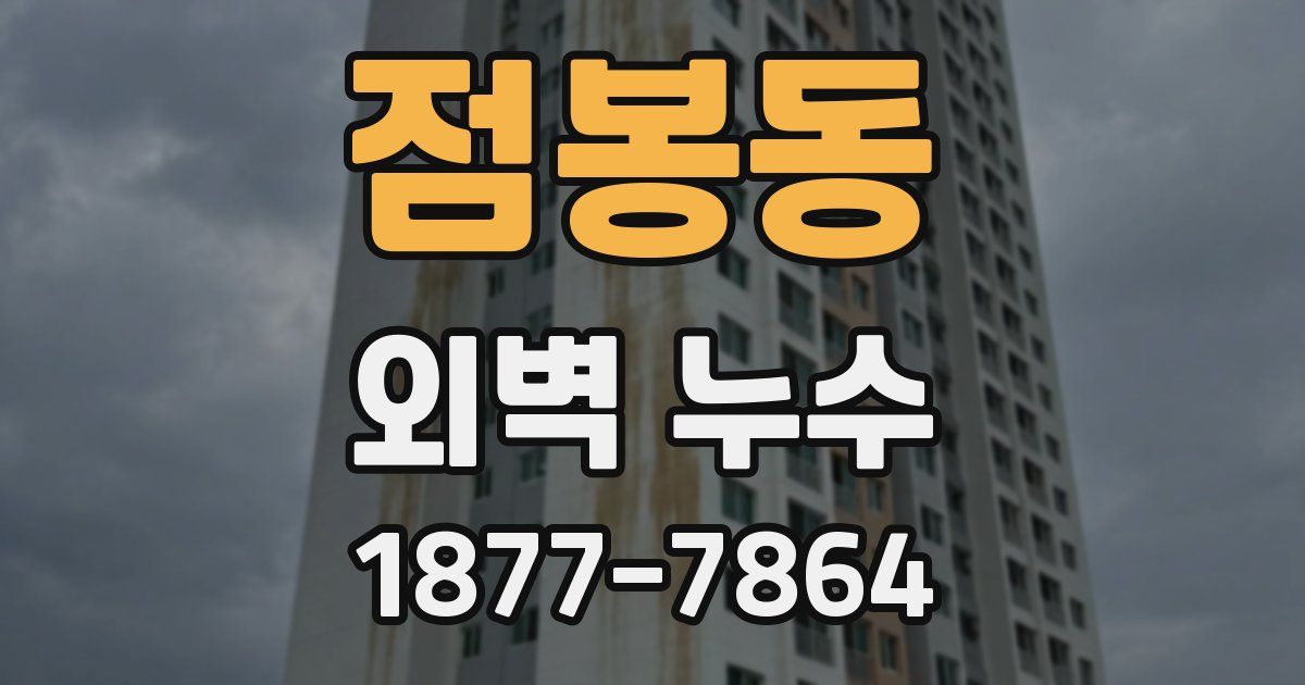 점봉동 외벽 누수
