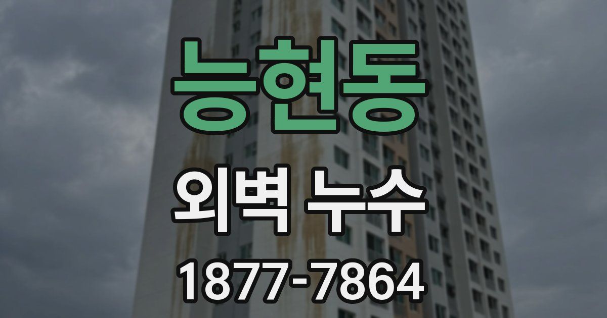 능현동 외벽 누수
