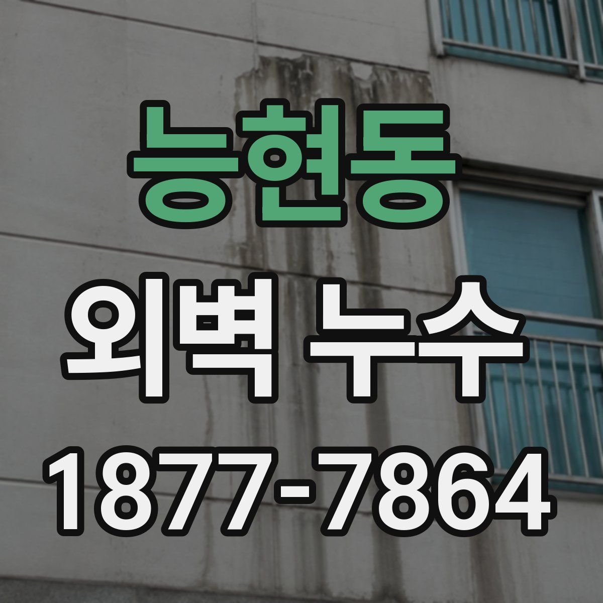 능현동 외벽 누수