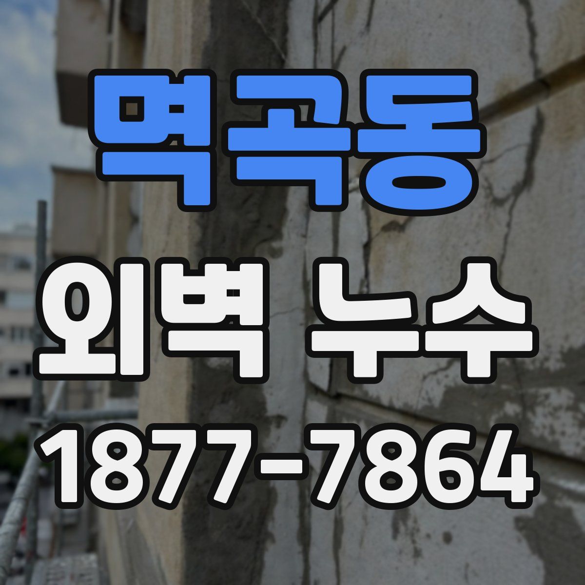 멱곡동 외벽 누수