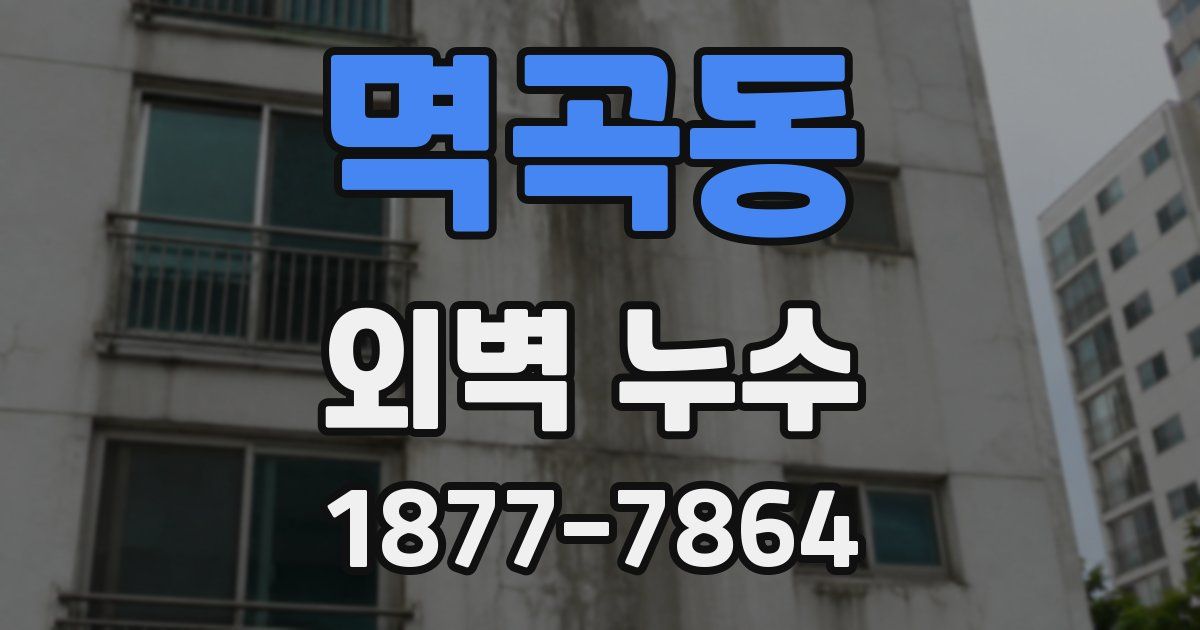 멱곡동 외벽 누수