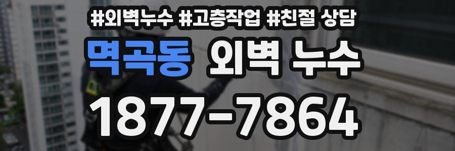멱곡동 외벽 누수