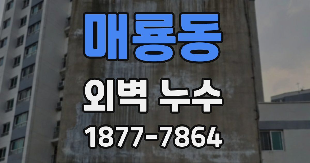 매룡동 외벽 누수