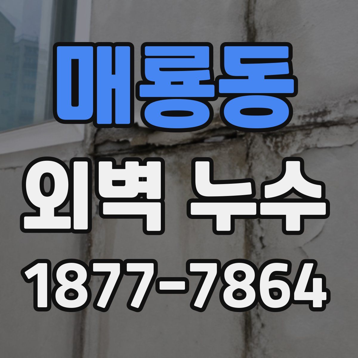 매룡동 외벽 누수