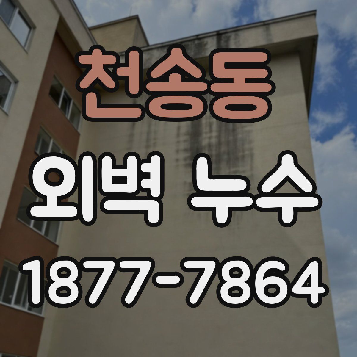 천송동 외벽 누수