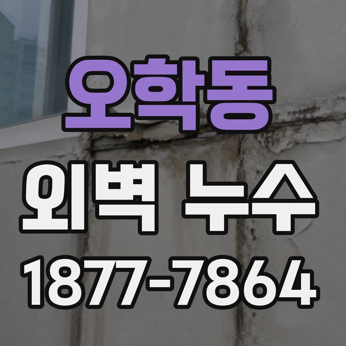 오학동 외벽 누수