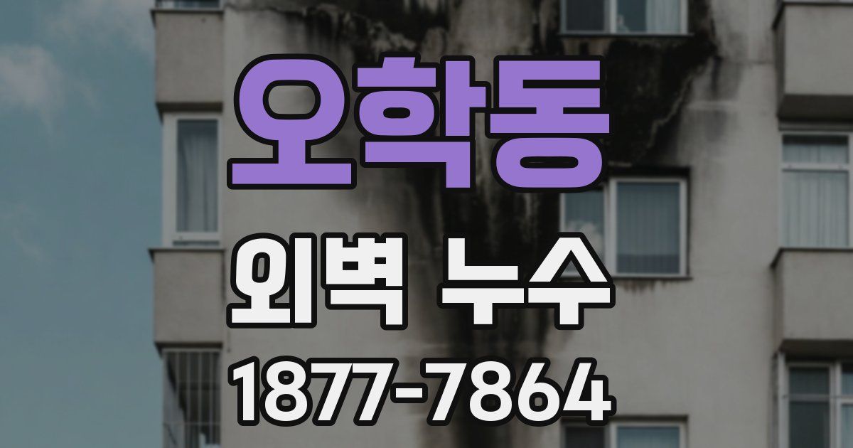 오학동 외벽 누수