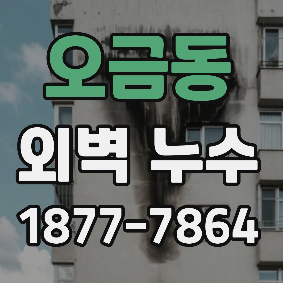 오금동 외벽 누수