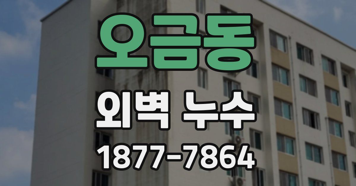 오금동 외벽 누수