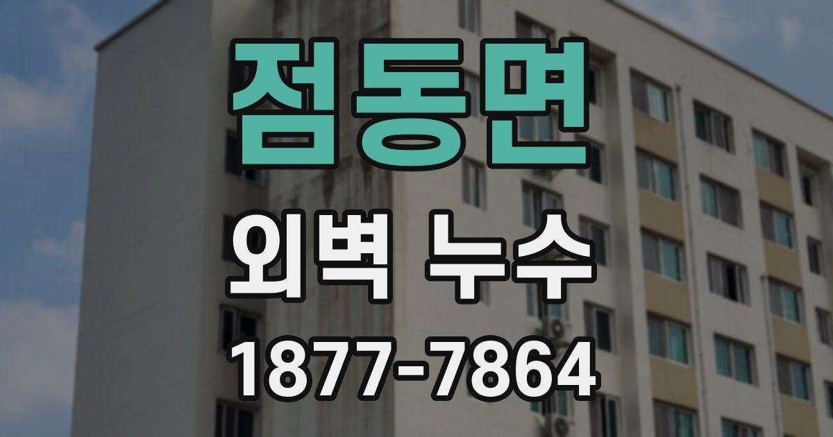 점동면 외벽 누수