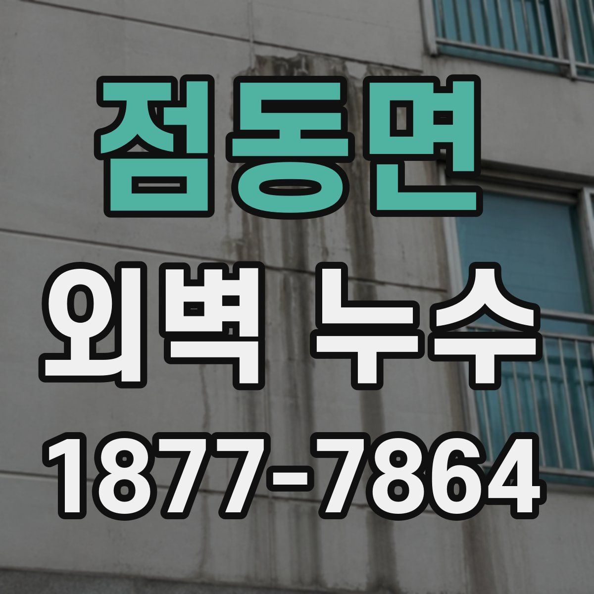 점동면 외벽 누수