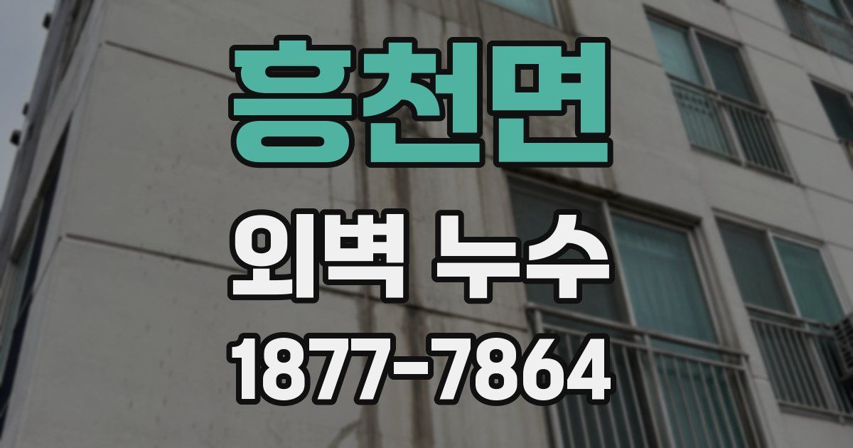 흥천면 외벽 누수