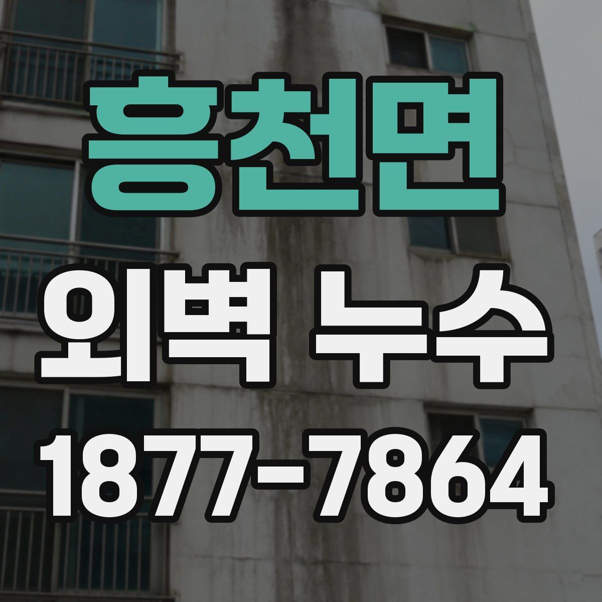 흥천면 외벽 누수