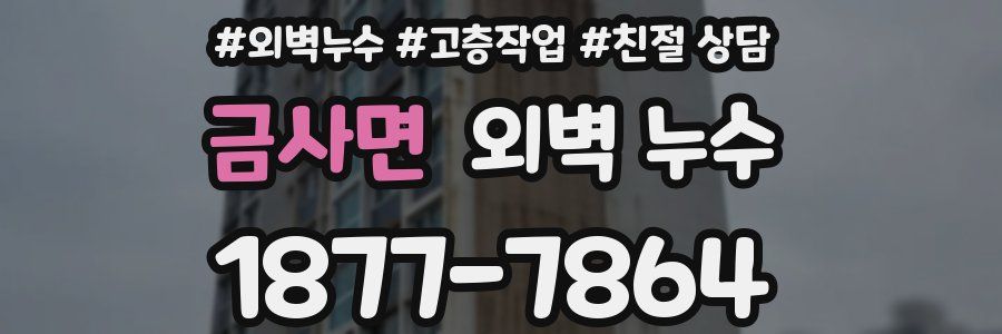 금사면 외벽 누수