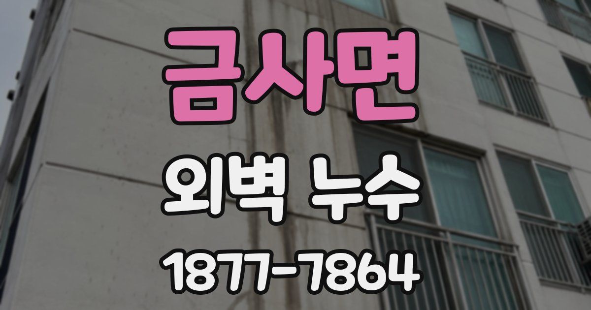 금사면 외벽 누수