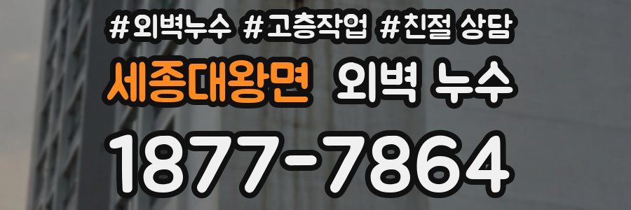 세종대왕면 외벽 누수
