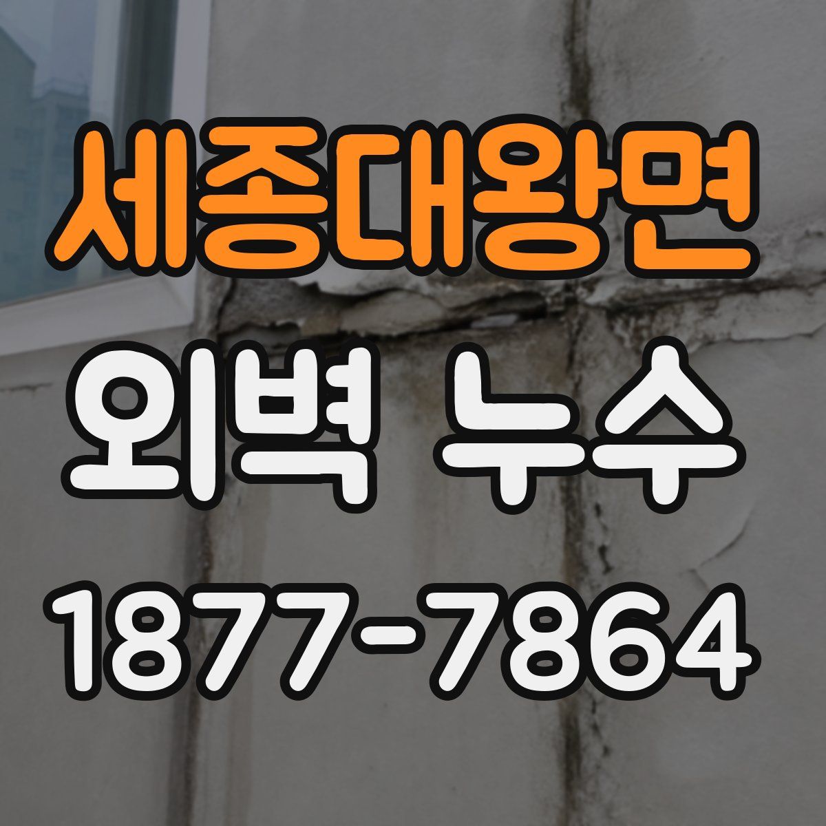 세종대왕면 외벽 누수