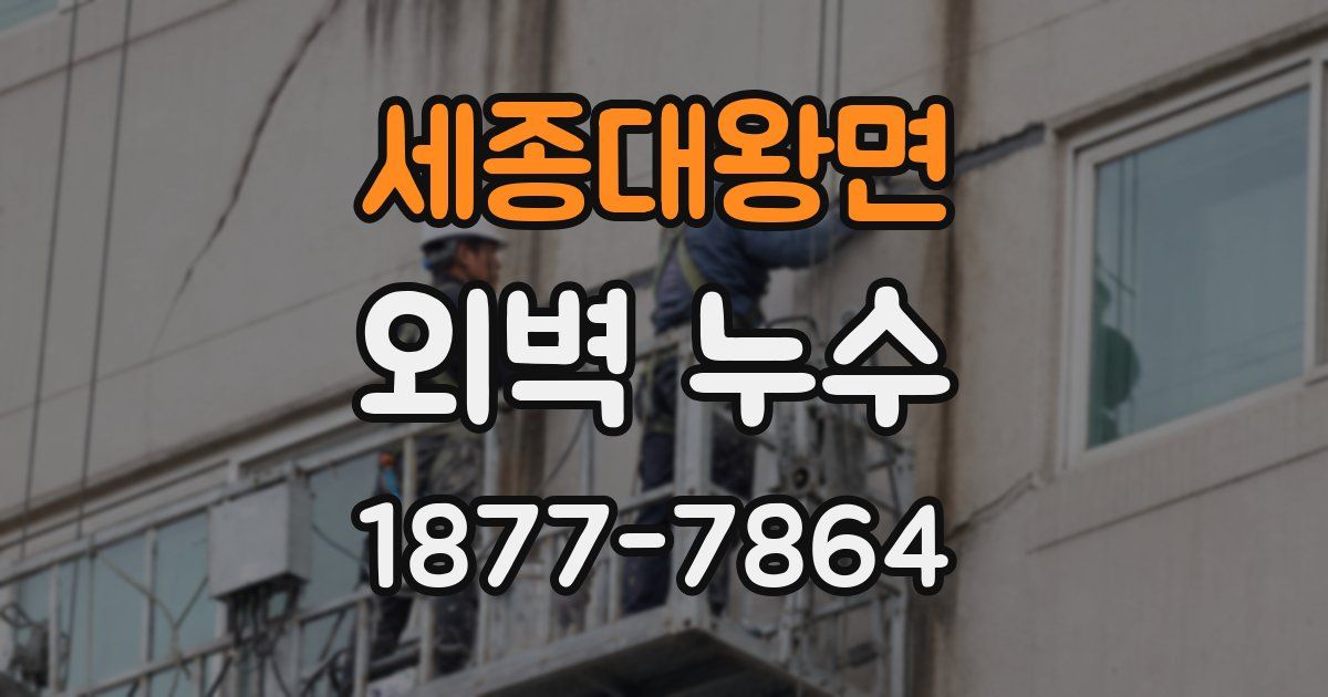세종대왕면 외벽 누수