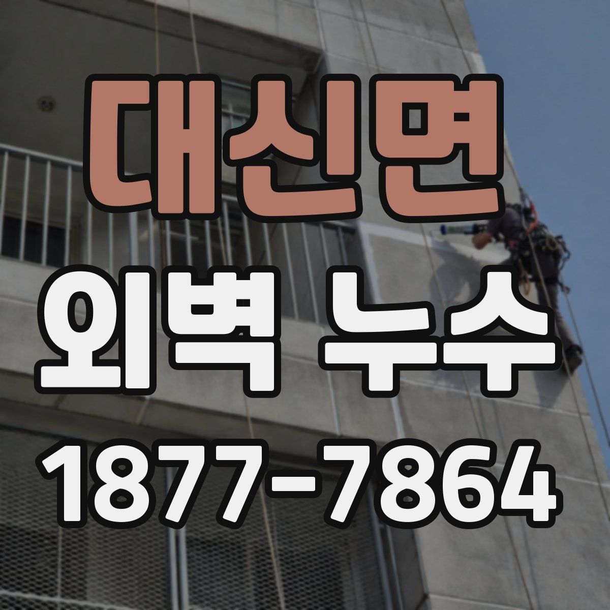 대신면 외벽 누수