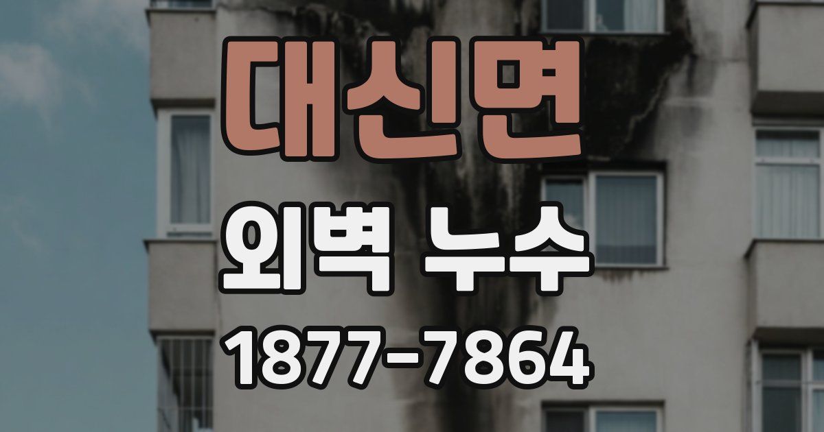 대신면 외벽 누수