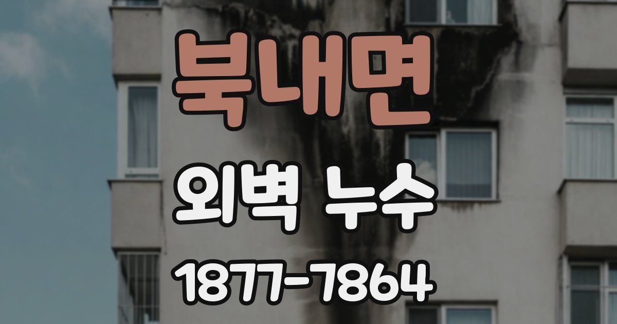 북내면 외벽 누수