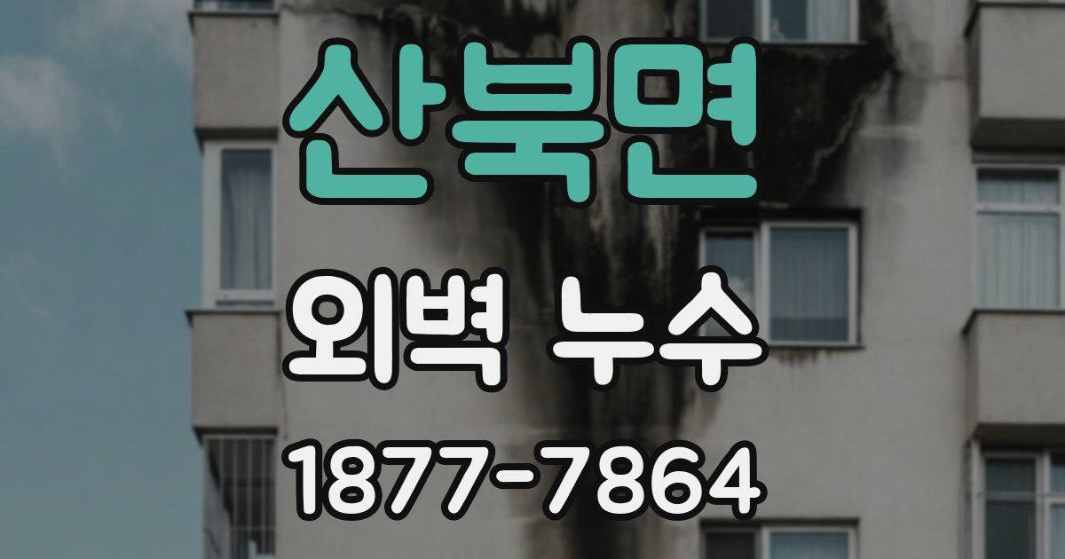 산북면 외벽 누수