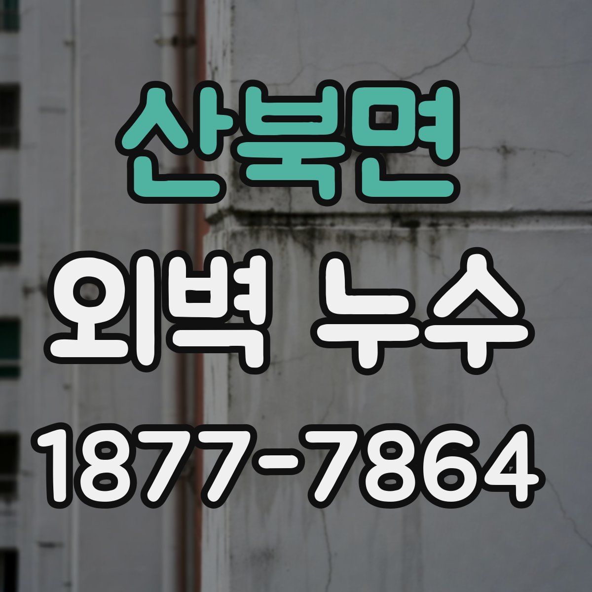 산북면 외벽 누수