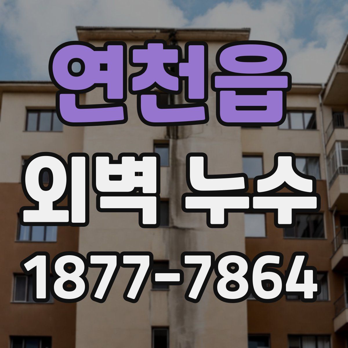 연천읍 외벽 누수