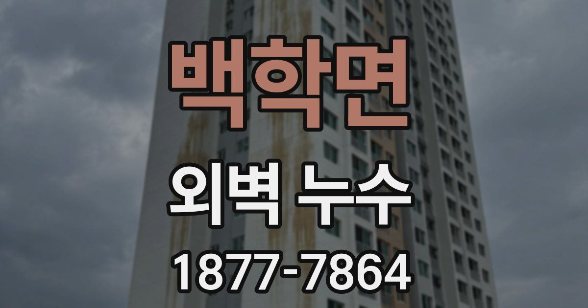 백학면 외벽 누수