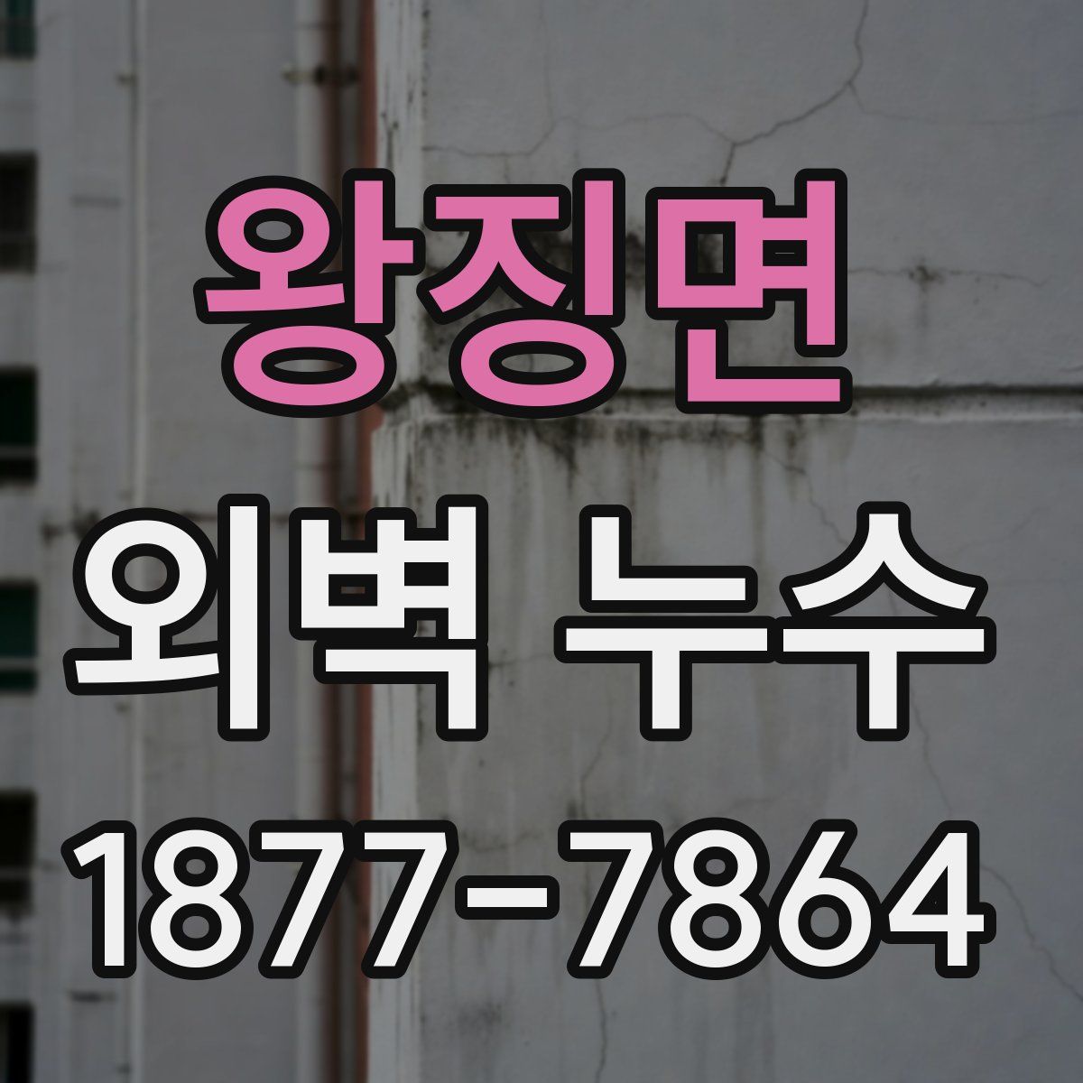 왕징면 외벽 누수