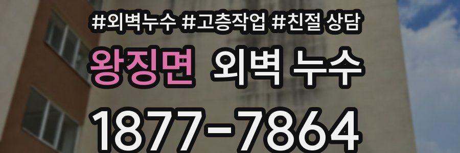 왕징면 외벽 누수