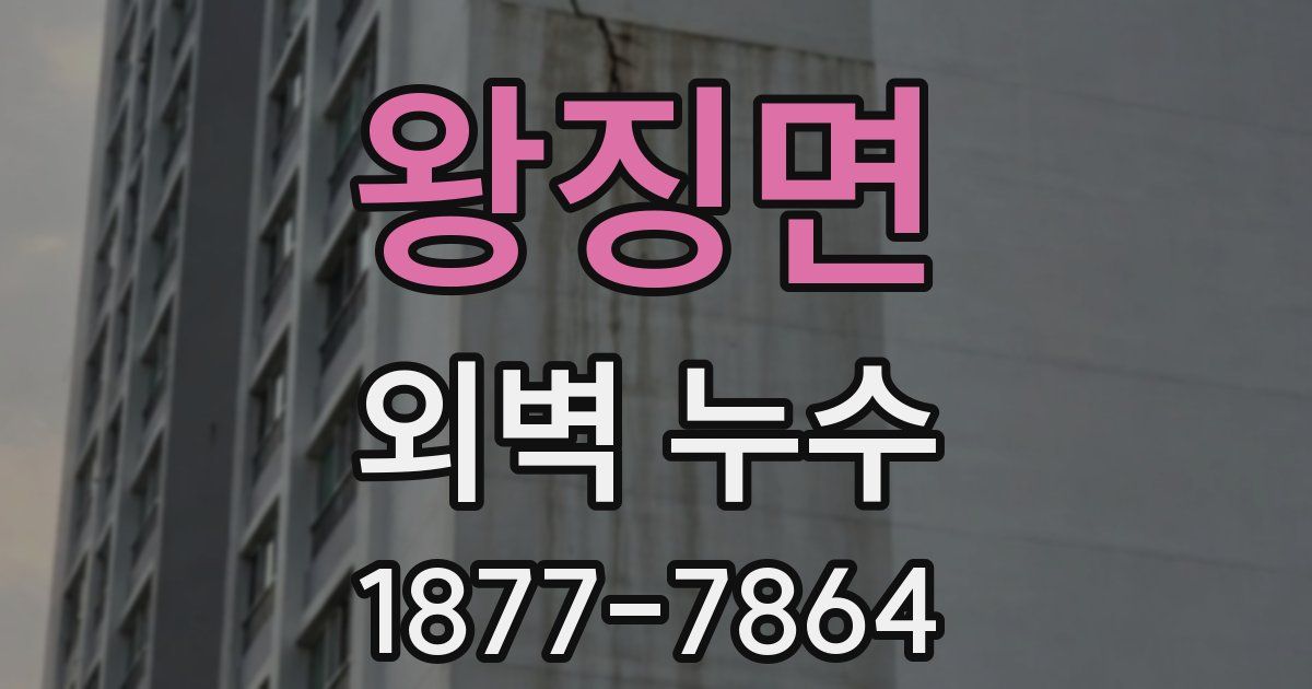 왕징면 외벽 누수
