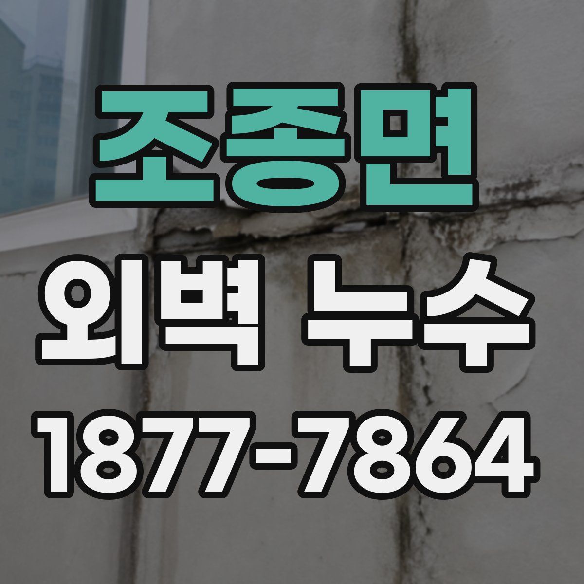 조종면 외벽 누수