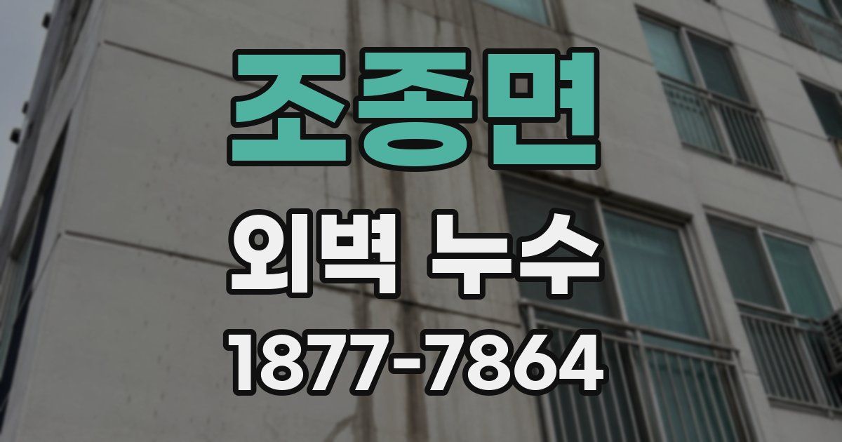 조종면 외벽 누수