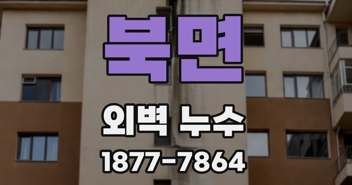 북면 외벽 누수