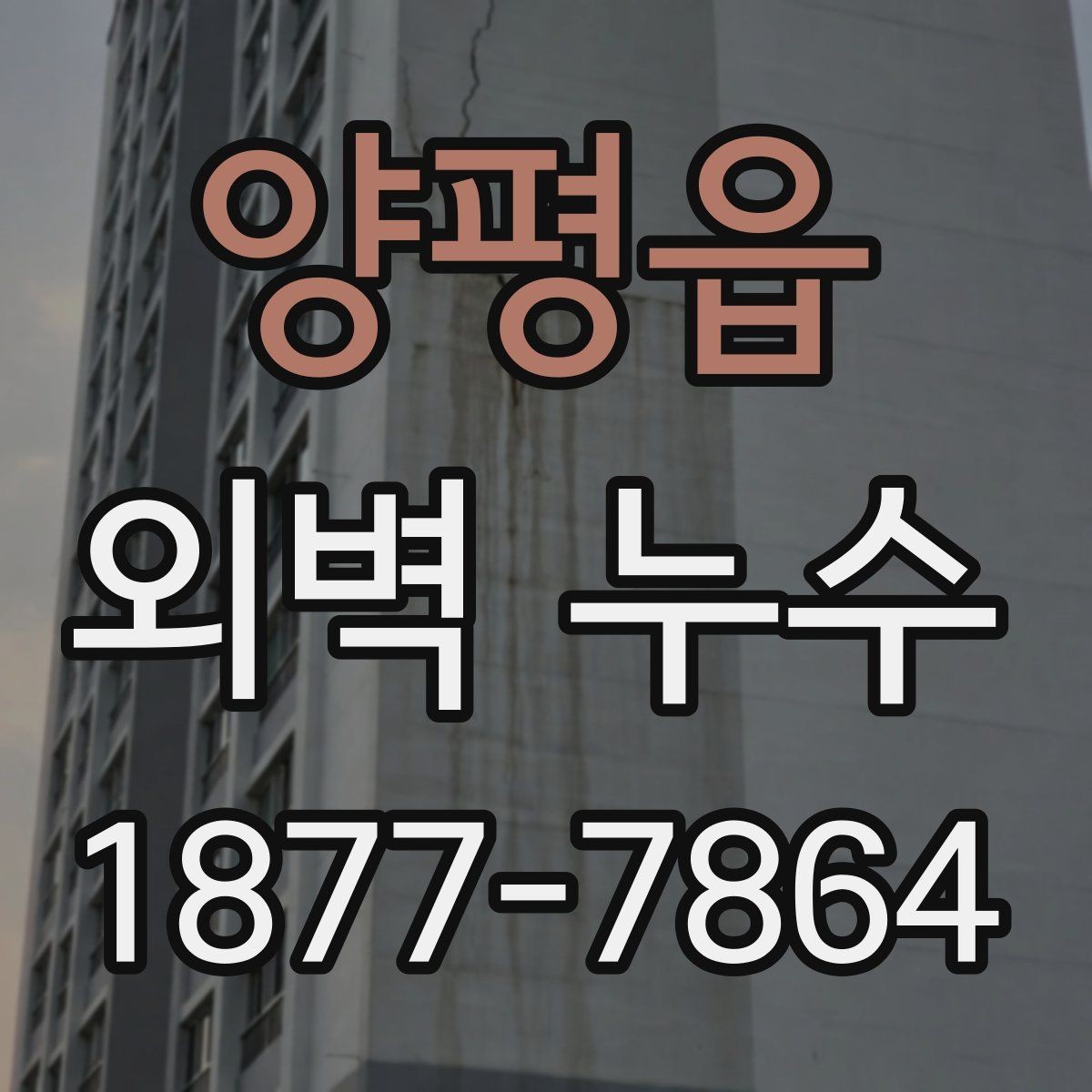 양평읍 외벽 누수 예방 점검이 중요한 이유