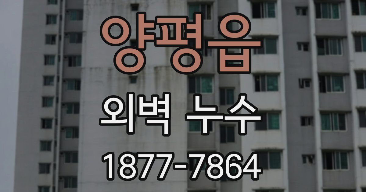 양평읍 외벽 누수